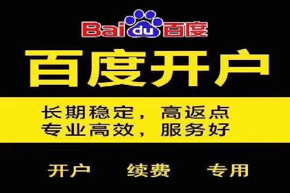 行业翘楚案例：百度竞价代理如何助力企业腾飞